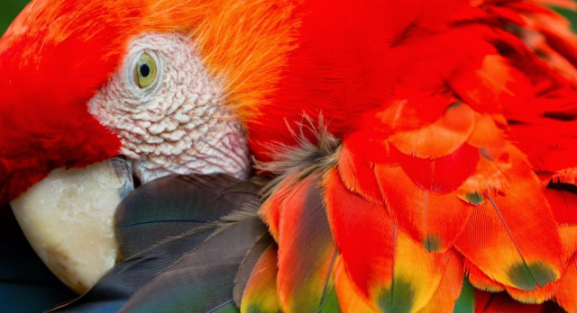 Enchanting Travels Brazil Tours