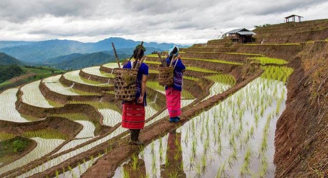 Head where few tread: Undiscovered Cambodia and Vietnam destinations: Hmong Women in Vietnam