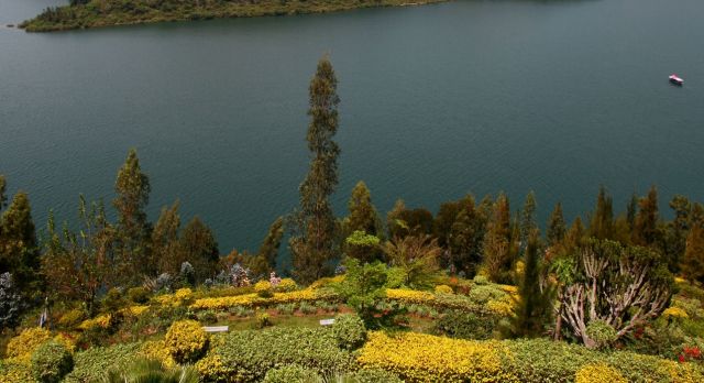 Der Lake Kivi