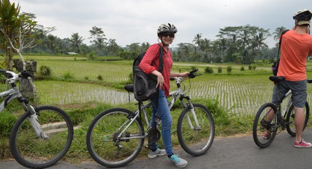 Fahrradtour durch die sattgrünen Reisfelder in Ubud