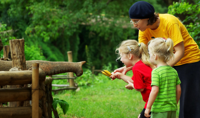 Eine Frau füttert zusammen mit zwei Kindern einen Elefanten