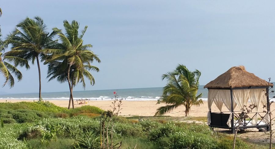 Palmen, Strand und Meer in Goa