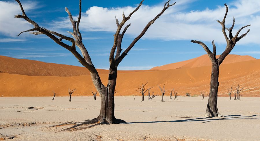 Top 10 Highlights & African Adventures