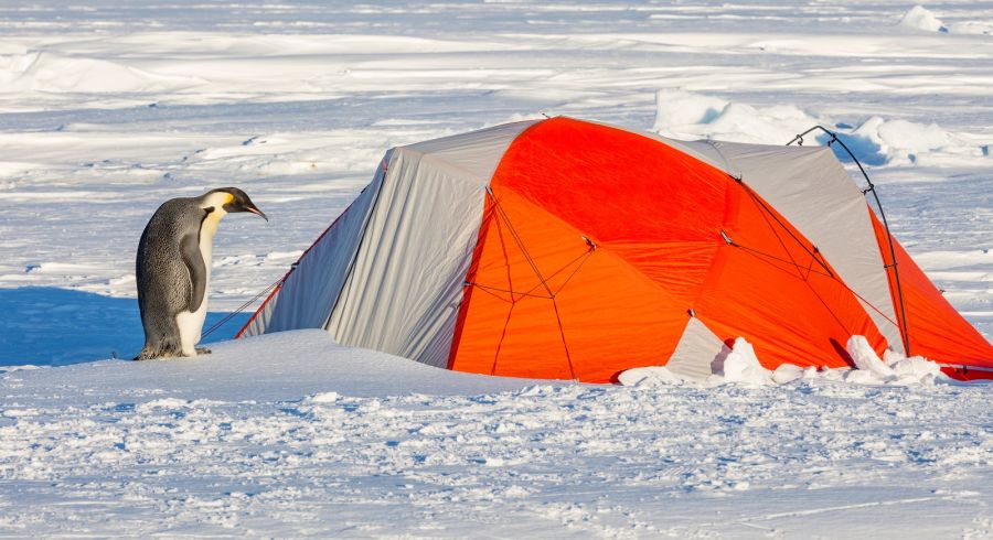 Camping out overnight in Antarctica