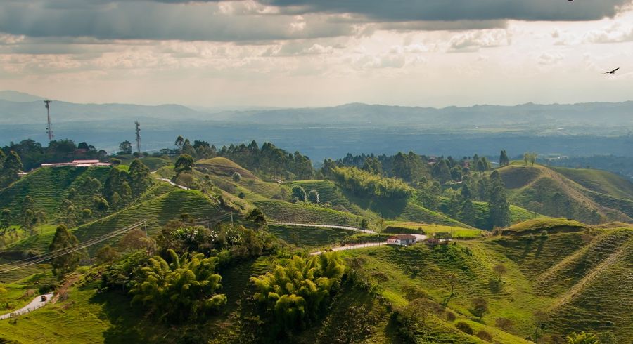 Coffee Region, Colombia - Enchanting Travels Top 10 UNESCO World Heritage sites of 2019