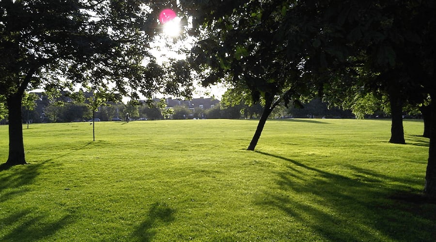 Living in Brockley: A Vibrant Community Surrounded by Open Spaces | Essential Living