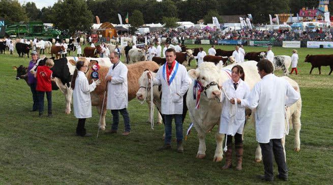 Newbury Showground - Days Out in Berkshire