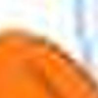 9722166 fee des dents cfpfxa - Eugenol