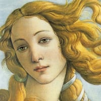 Botticelli birth venus 2 erg9vl - Eugenol