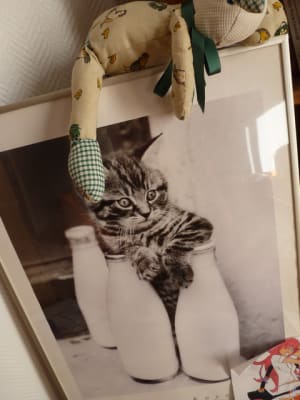 002 mmhhbj - Eugenol