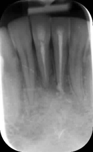 040614 smhyt0 - Eugenol