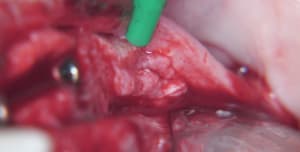 100 6586 kgqyxp - Eugenol