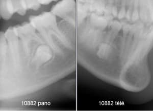 10882 p t kny6yv - Eugenol