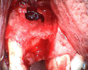 12 y8b4sr - Eugenol