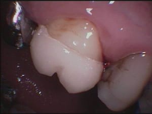 16 idem nhveqw - Eugenol