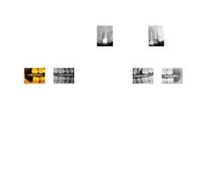 1 o30odh - Eugenol