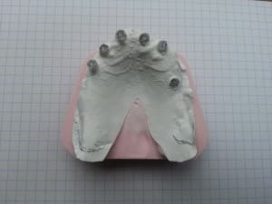 20140328 130744 knidgh - Eugenol