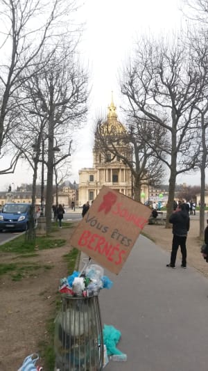 20170303 160831 luqlly - Eugenol