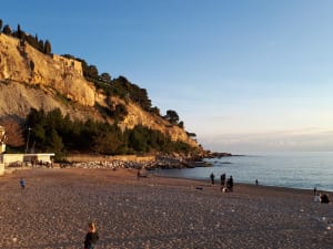 20181227 162804 xlovbc - Eugenol