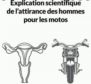 2qpmwlovr57j8dte3pad9zpp46kw - Eugenol