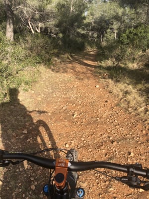 3625c9c0 39d3 49db 8414 72ee9c2f8265 pckff8 - Eugenol