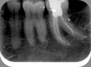 37 v40jxp - Eugenol