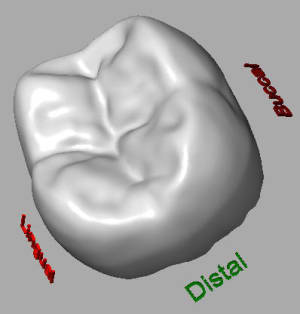 3d mbktkn - Eugenol