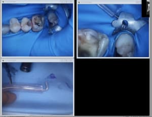 63e7z0se692qj9id9ipagygje335 - Eugenol