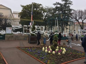 645c673a dfef 449e 91bd 63e0f9fab899 nqavt7 - Eugenol