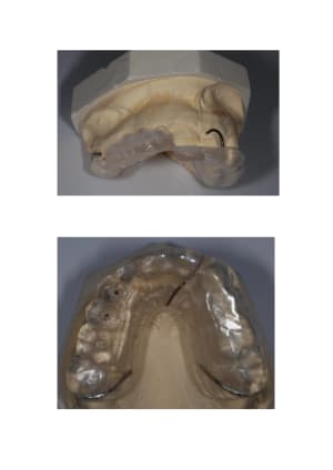 A.f.pose 15.14 - Eugenol