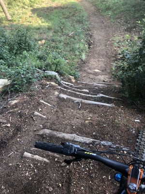 Ab2ba77f 0a34 436d 9bb5 8f5ac8da5d97 mbqiy8 - Eugenol