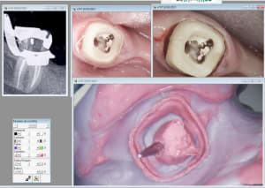 Capture d écran 2017 03 16 11.28 - Eugenol