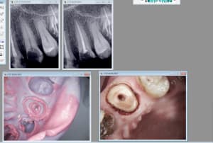 Capture d écran 2017 03 16 17.29 - Eugenol