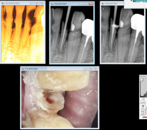 Capture d e cran 2016 02 19 13.22 - Eugenol