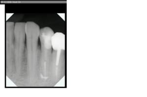 Denia 34 20060613 rgx2qi - Eugenol