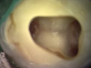 Dsc00069 pgva84 - Eugenol