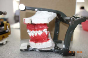 Dsc03369 xhbyxd - Eugenol