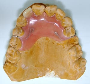 Dsc06097 meag8d - Eugenol