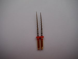 Dscf2300 o05b2b - Eugenol