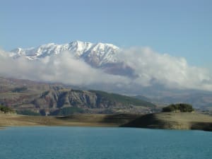 Dscn1163   copie ns4tgw - Eugenol