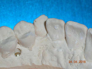 Dscn5264 zs2gxy - Eugenol