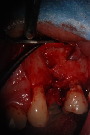 Dsc 0028 g6o2sj - Eugenol
