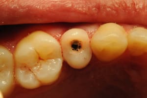 Dsc 4138 zw0cnz - Eugenol