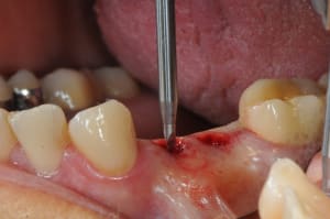 Dsc 4218 gwn0sd - Eugenol