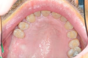 Dsc 4772 if8lmb - Eugenol