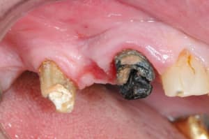 Dsc 5073 gkwjv0 - Eugenol