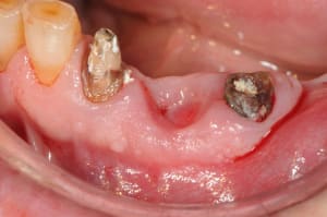 Dsc 5625 euqflg - Eugenol