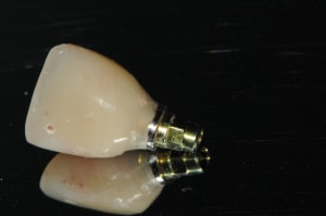 Dsc 5783 f0v7tm - Eugenol