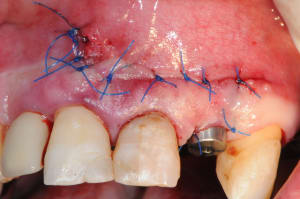 Dsc 5857 wc02q8 - Eugenol