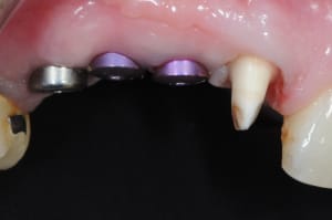 Dsc 6646 grtbtf - Eugenol